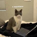 Visper