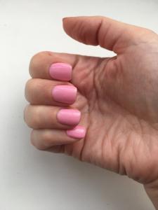 Фотография Делюкс 3