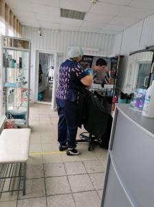 Фотография Орхидея 0