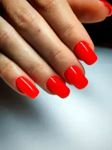 Фотография Мир красивых людей 4