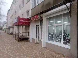 Фотография Зебра 3