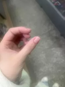 Фотография Зебра 4