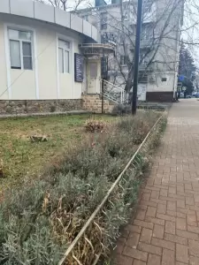 Фотография Apriori 4