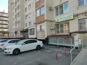 Фотография Светлана 2
